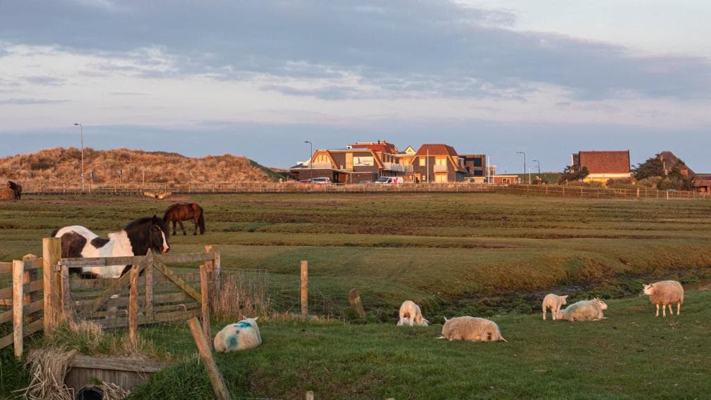 Strandhotel Camperduin