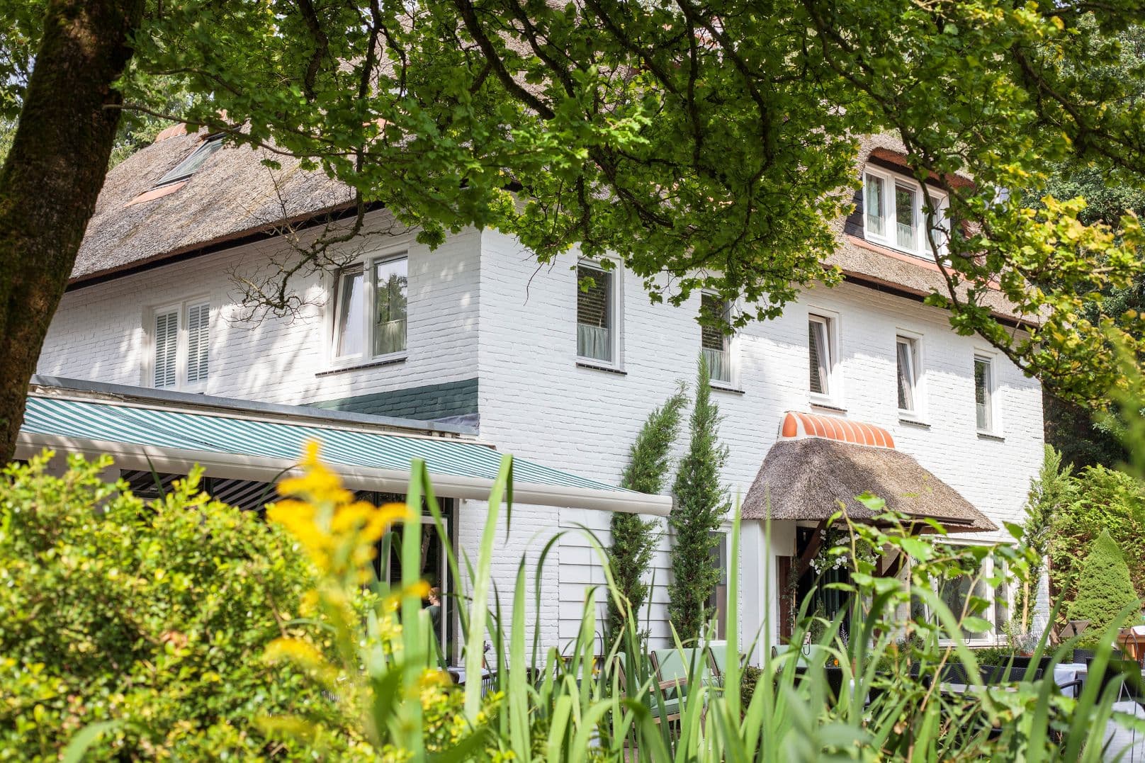 Witte Berken Natuurhotel_5
